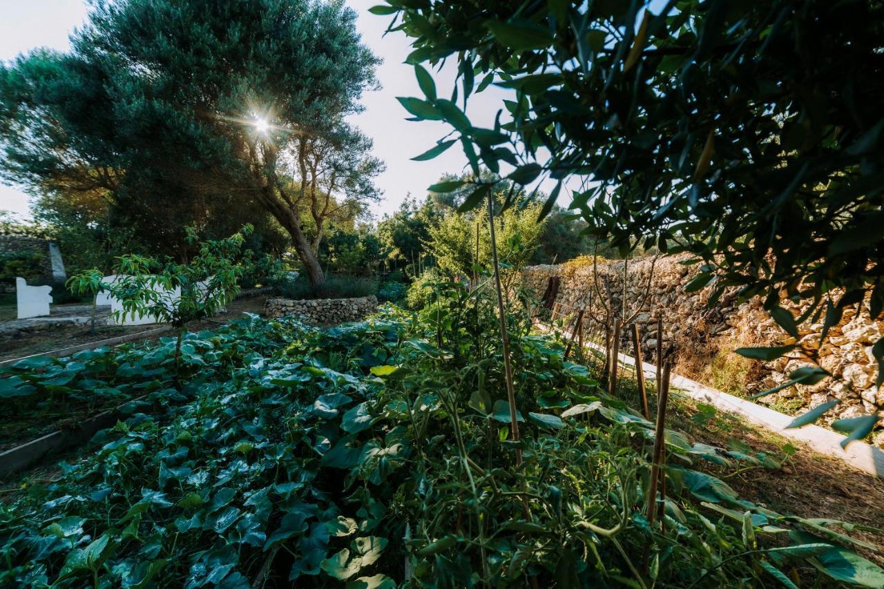 Agroturismo Rafal Rubi アライオル エクステリア 写真